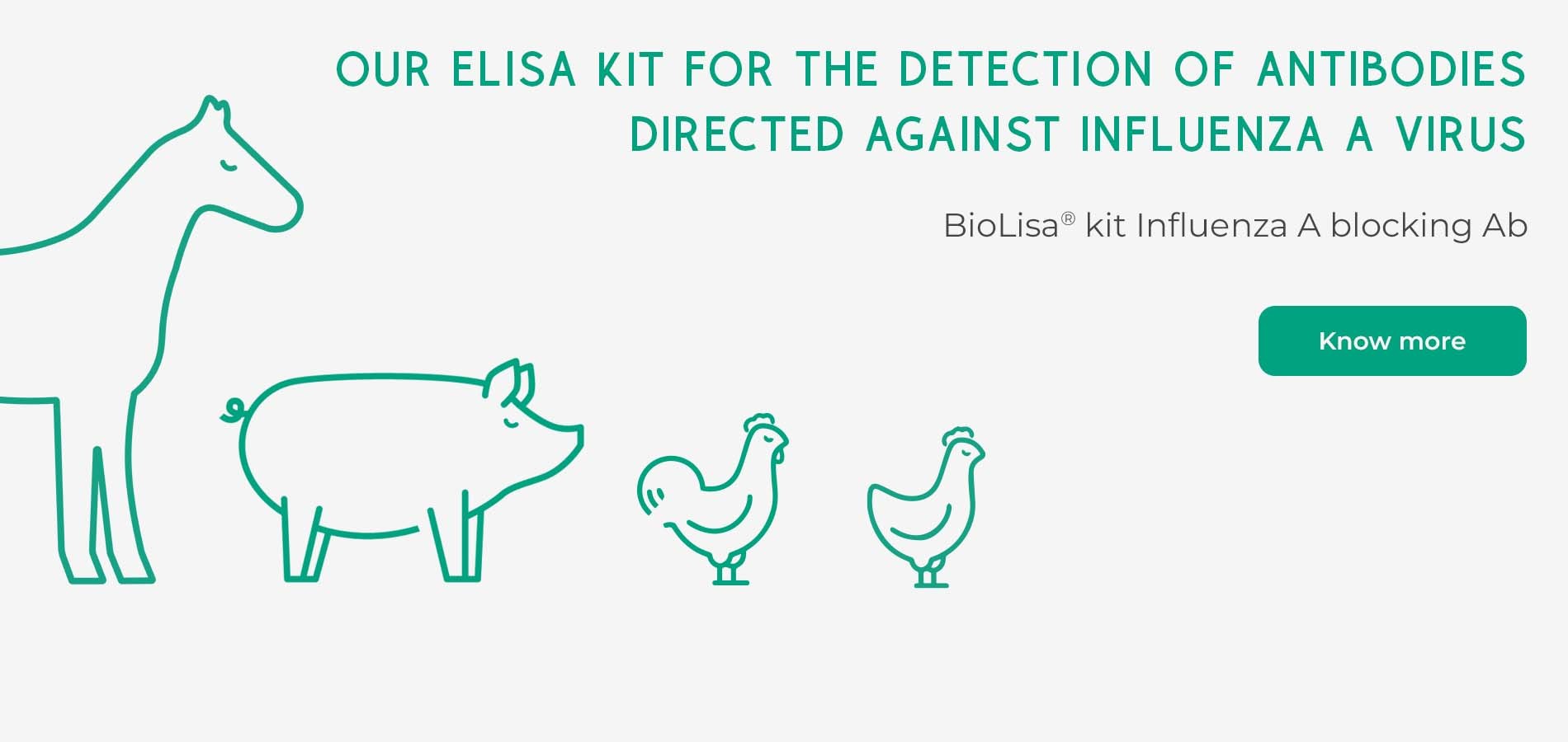 ELISA kit for the detection of antibodies directed against Influenza A virus